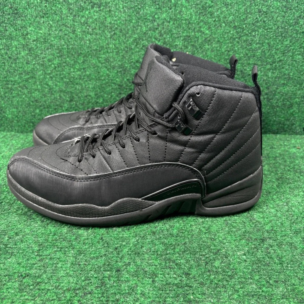 Jordan 12 retro